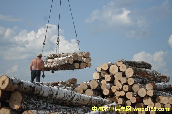 ���_˹�ט�2��Ԕ��(x��)��B