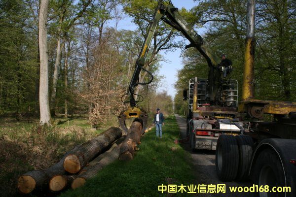 �W�ް���3��Ԕ��(x��)��B