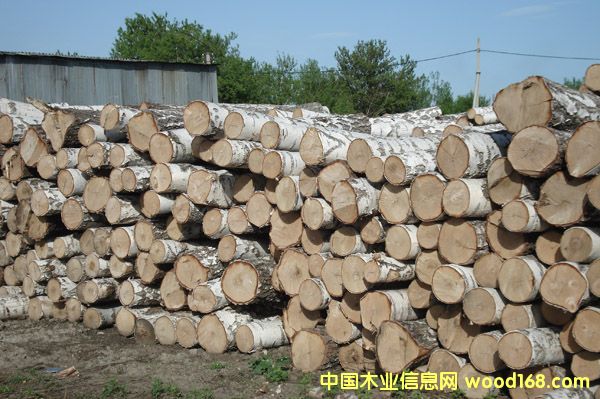 ���_˹�ט�1��Ԕ��(x��)��B