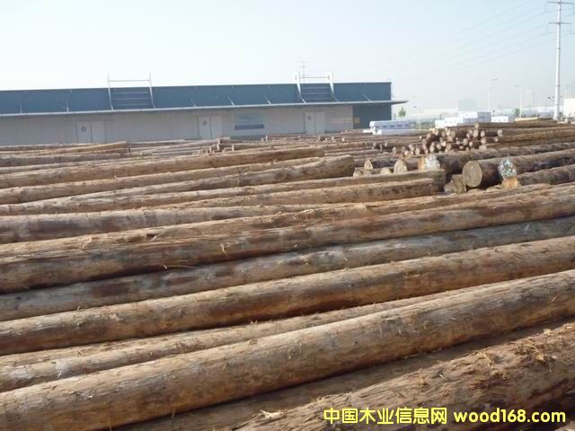 �����ɵ�Ԕ��(x��)��B