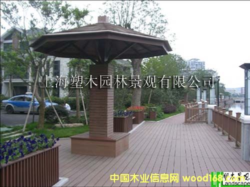 ��ľͤ�ӵ�Ԕ����B