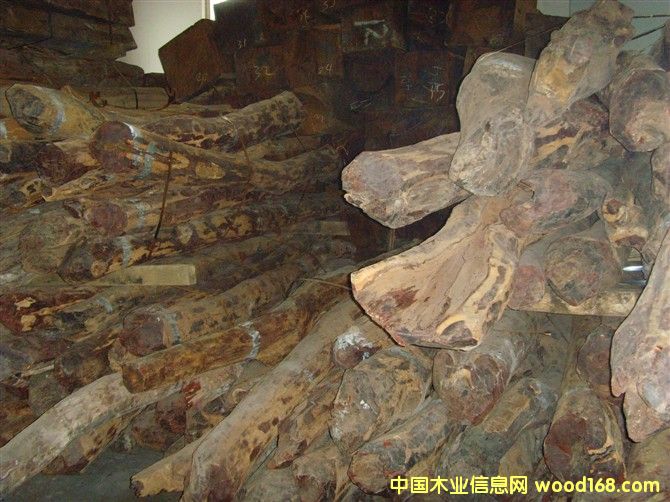 ӡ��С�~��̴