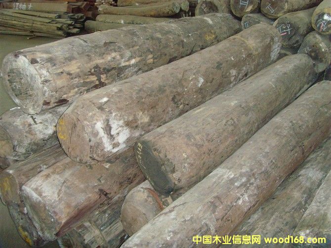 ���޴��~��̴