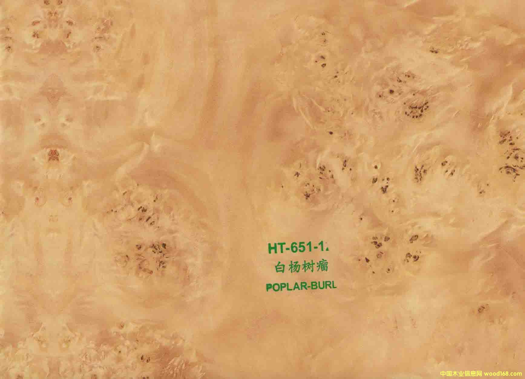 ���ľ�y����Ԕ����B