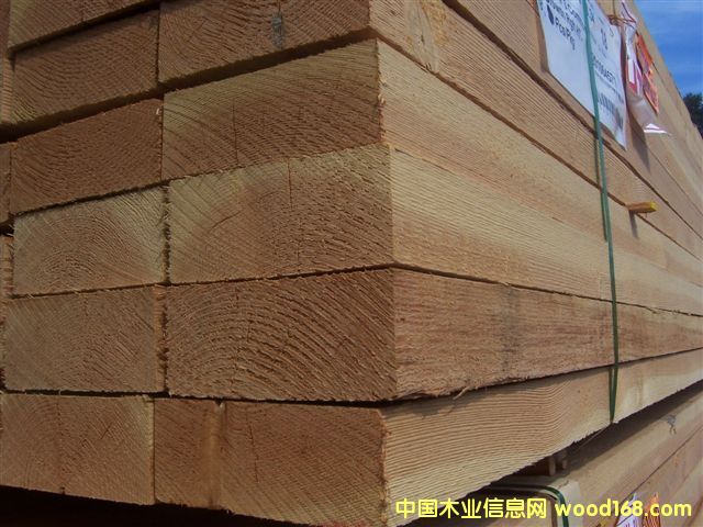 ���ô� ���� �M(j��n)�� �����ɵ�Ԕ��(x��)��B