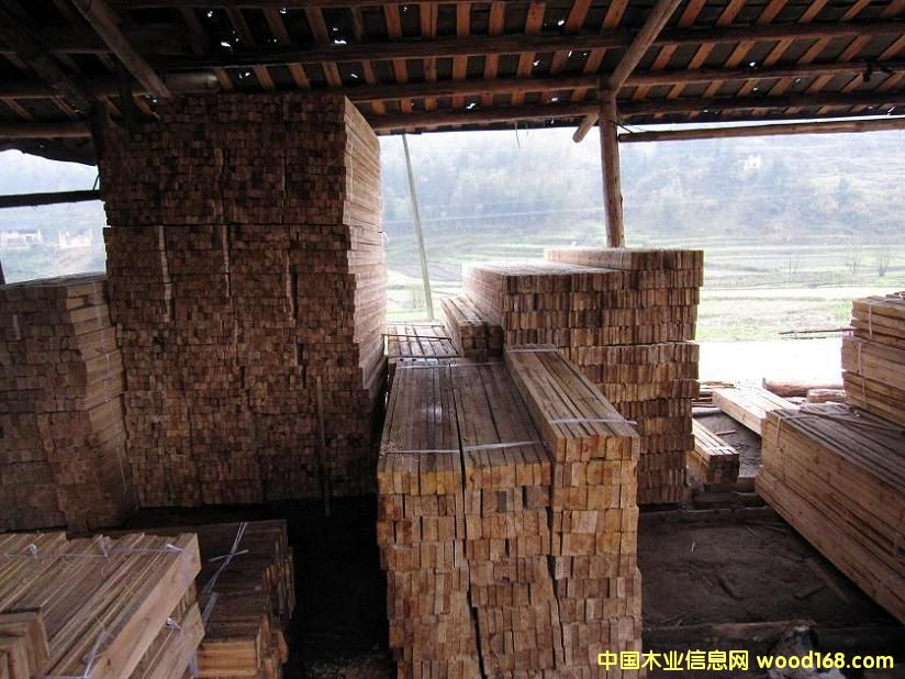 ľ����ľ�������