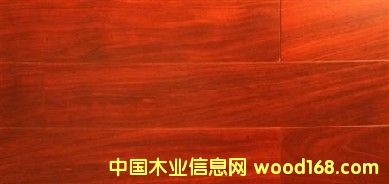 �t̴��/��֬ľ��