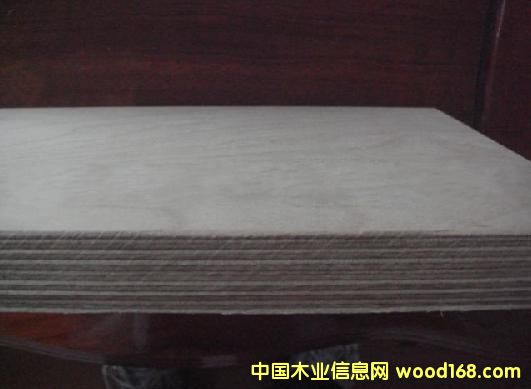 ȫ��ľ�z�ϰ� ��Ԕ��(x��)��B