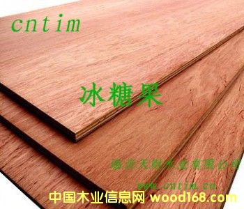 ���ǹ�����z�ϰ�