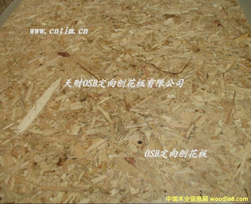 OSB�����ٻ���1