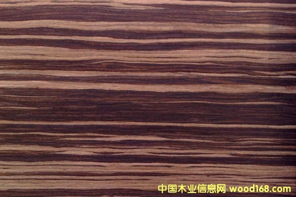 ��̴�Ƽ�ľƤ