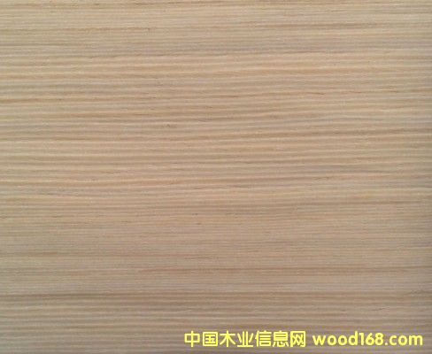 �����N�TľƤ��Ԕ��(x��)��B