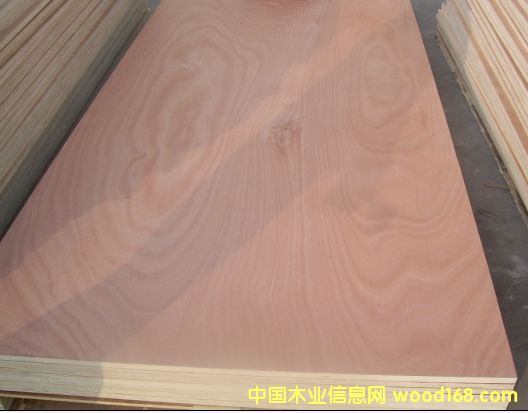 ɼľ��(x��)ľ����ɼľ��Ԕ��(x��)��B