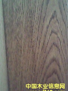 �|����ľ������)��Ԕ��(x��)��B