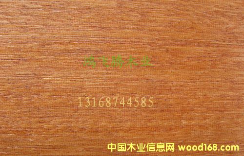 ɽ�ľ��Ԕ��(x��)��B