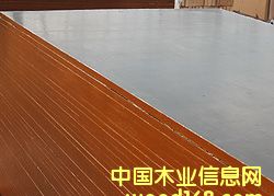 �M(j��n)��̫��Ĥ�z�ϰ�