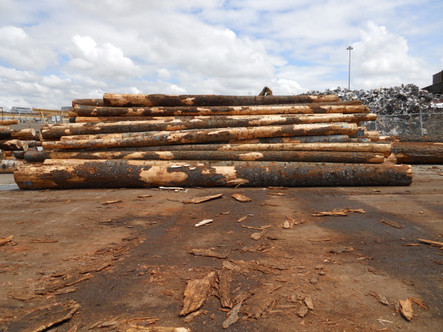 ���������ɵ�Ԕ����B