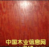 ��������ģ���Ԕ����B