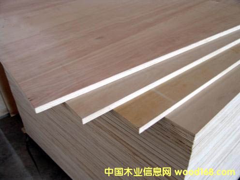 �i�輚(x��)ľ����