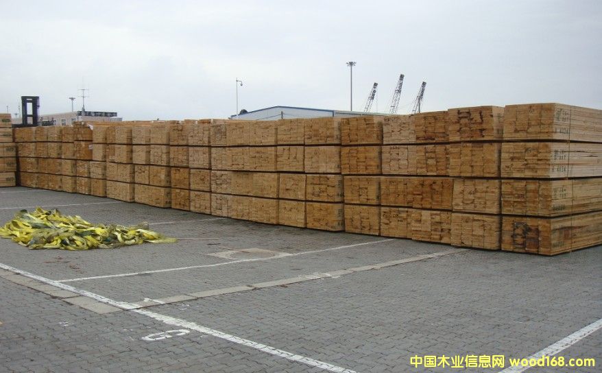 ���ô�WFP�Fɼ��Ԕ����B