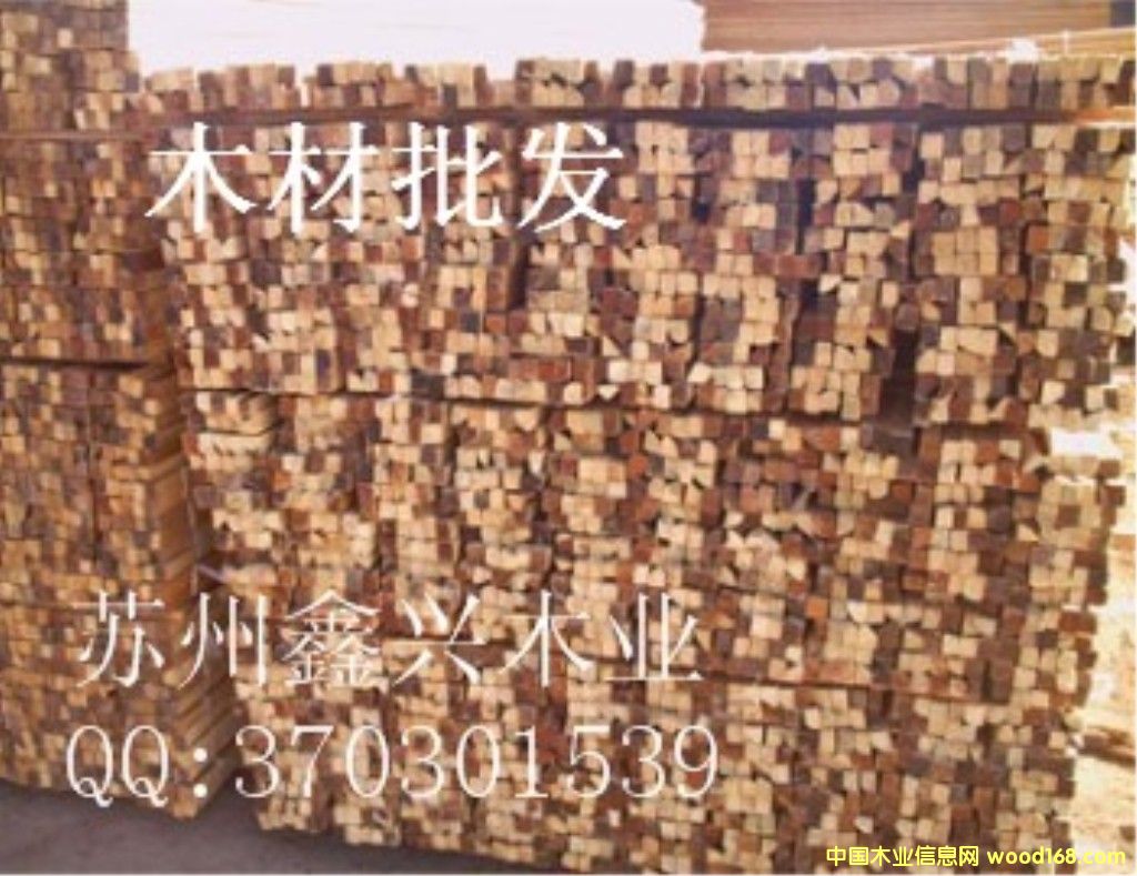 ľ�����l(f��)