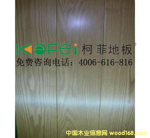 �·�ˮ������ľ�ذ��Ԕ����B