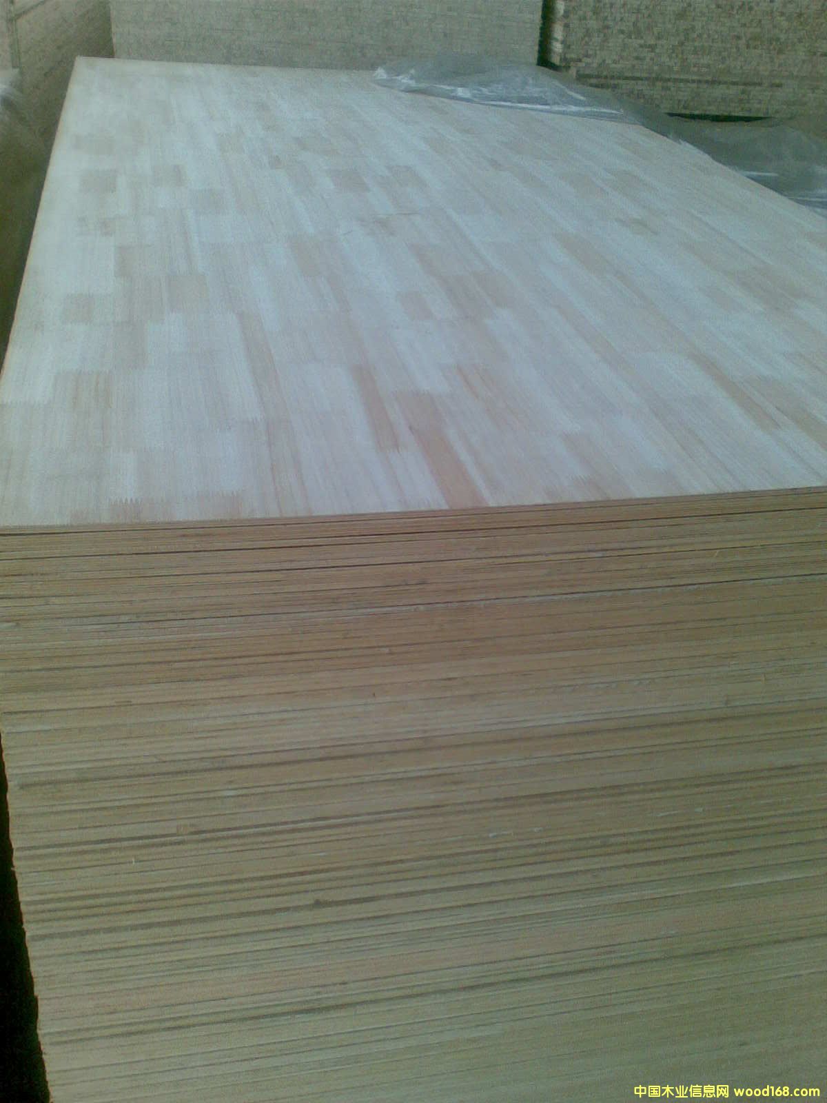 ���Ӱ��NɼľƤ