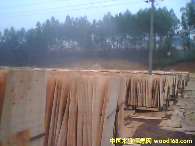 ��ľо�ΰ��Ԕ��(x��)��B