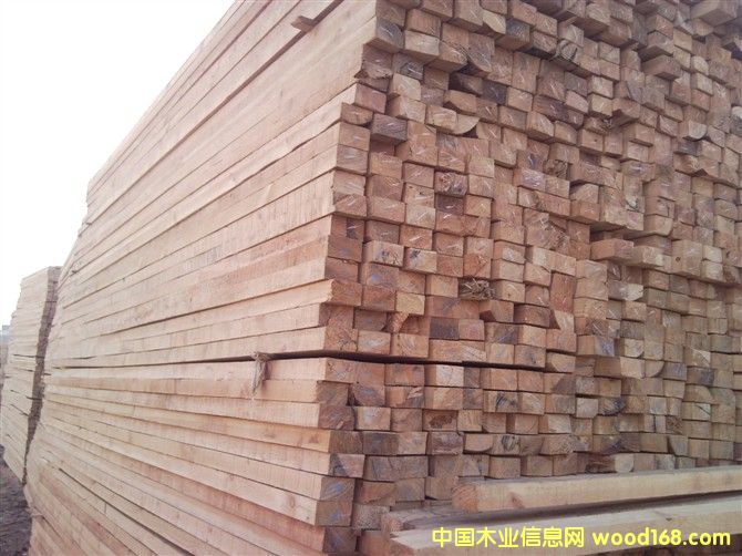 ������ľ��