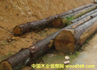 ԭľ��Ԕ��(x��)��B