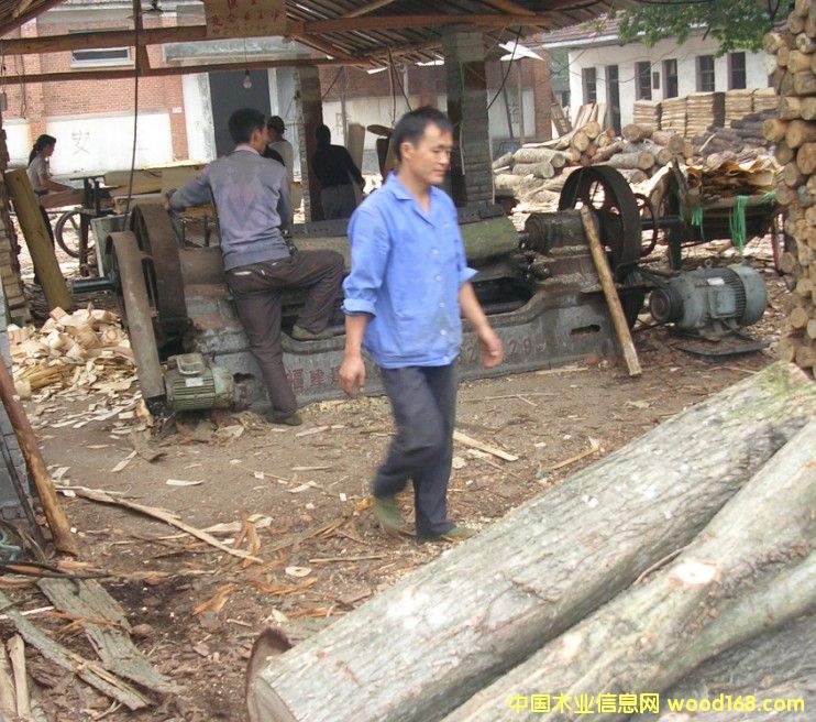 о���Ԕ��(x��)��B