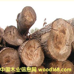 ľ��9��Ԕ��(x��)��B