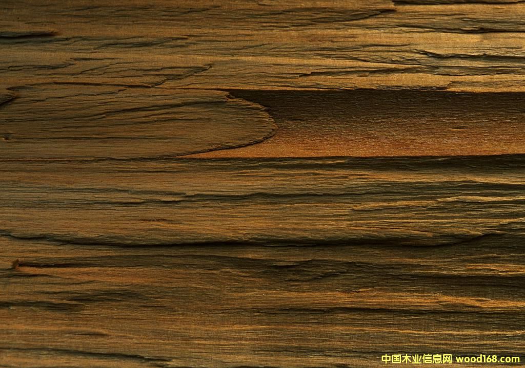 ľ��6��Ԕ��(x��)��B