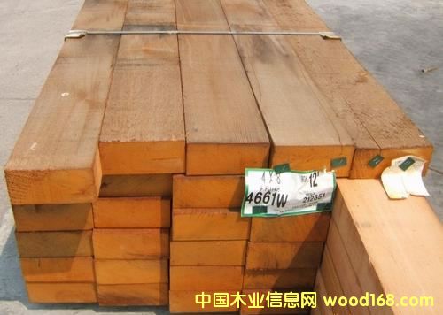 ����(y��ng) �tѩ��