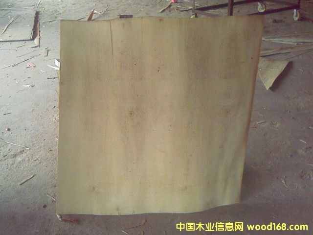 ������ģ��