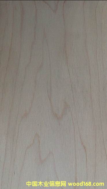 ��З�ľ��ľ����