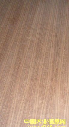 ��ľ�N���