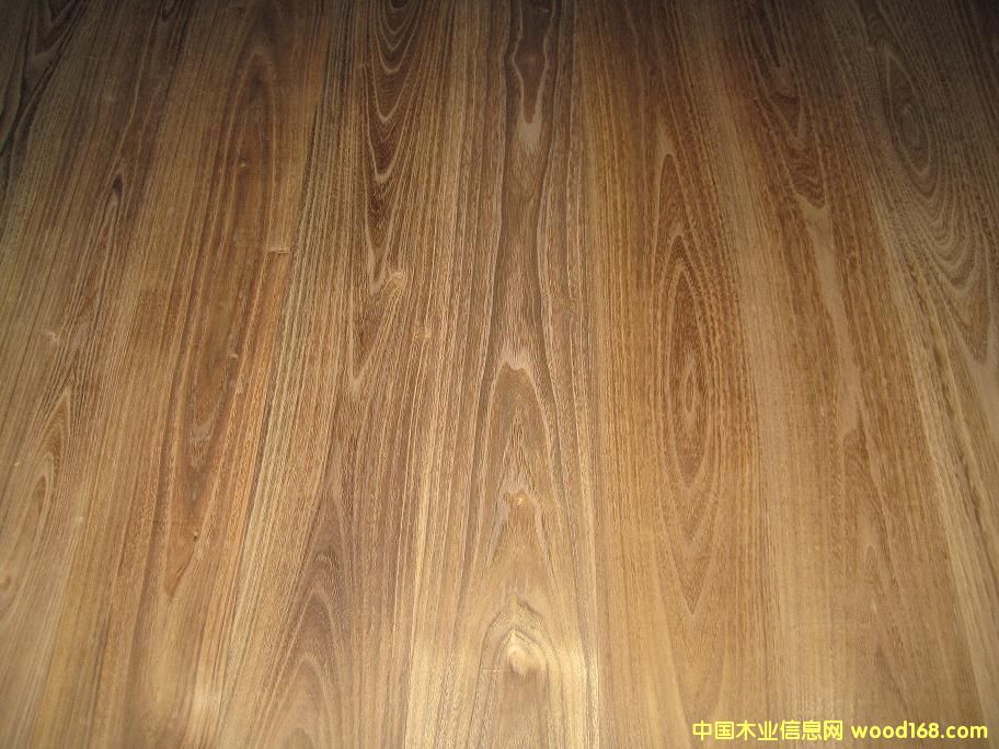 ��ľ�ذ���������ľ��Ԕ��(x��)��B