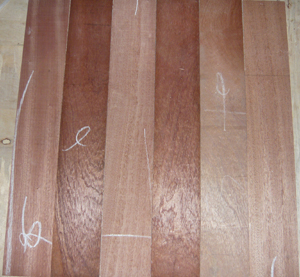 ɳ��������004��Ԕ����B