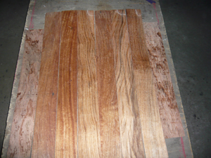 ِ��骣���̴������003��Ԕ����B