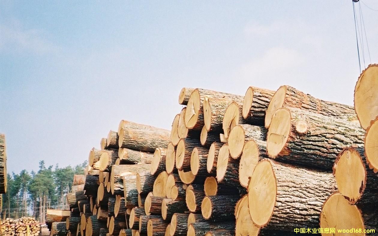 ���_˹��ľ��Ԕ��(x��)��B