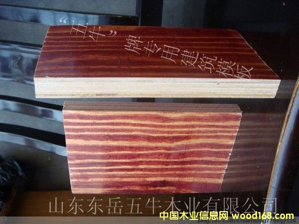 ��ţ����ģ��3��Ԕ��(x��)��B