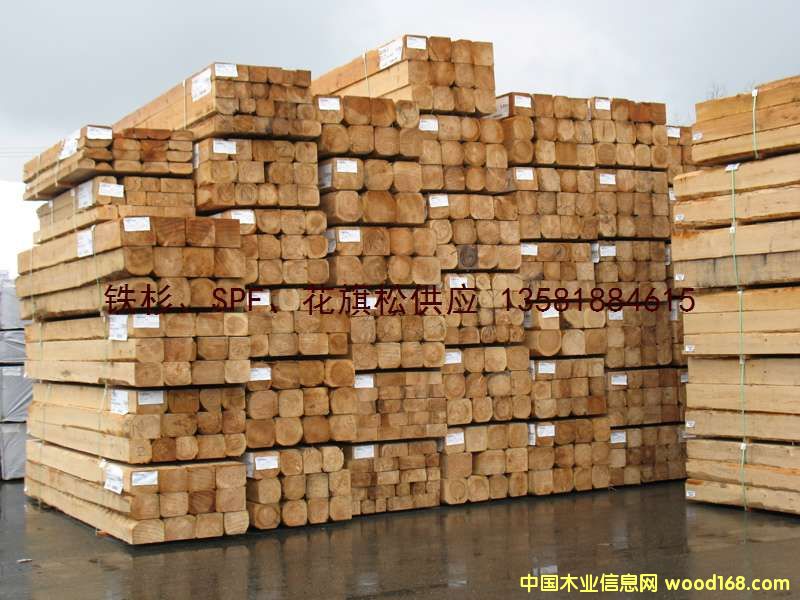 ����(gu��) �Fɼ