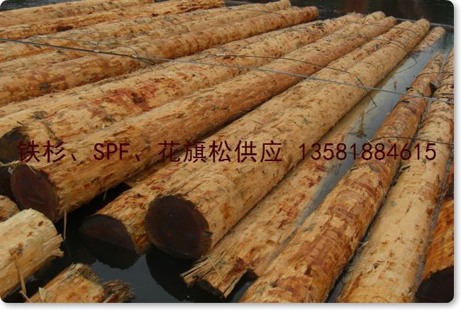 �c(di��n)���鿴������ Douglas Fir ԭľ J�Ŵ�DƬ