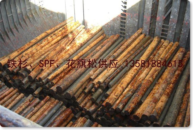 �c(di��n)���鿴�Fɼ hemlock ԭľ k�Ŵ�DƬ