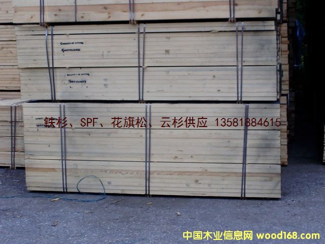 �c(di��n)���鿴�W��  ��ɼ spruce ��ķŴ�DƬ