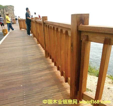 ��������ľ��Ԕ����B