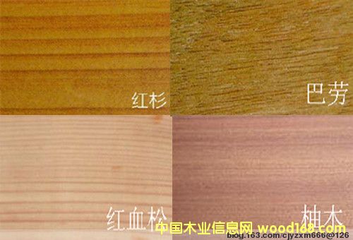 ��ľ��Ԕ����B