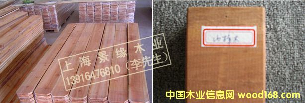 ɽ��ľ��Ԕ����B