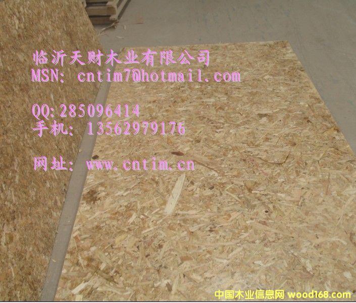 OSB���a���� ���x�R����ؔľ�I(y��)13562979176